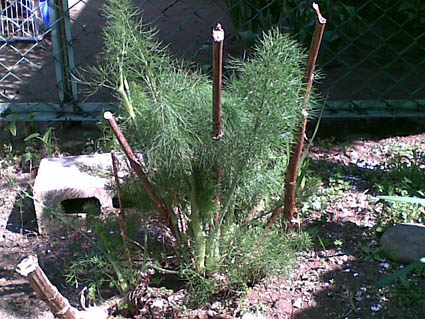 04092009(001).jpg