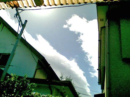 10082009.jpg