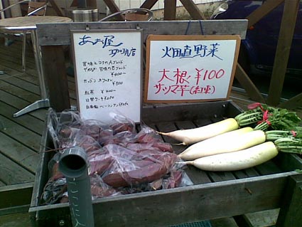 10302009(001).jpg